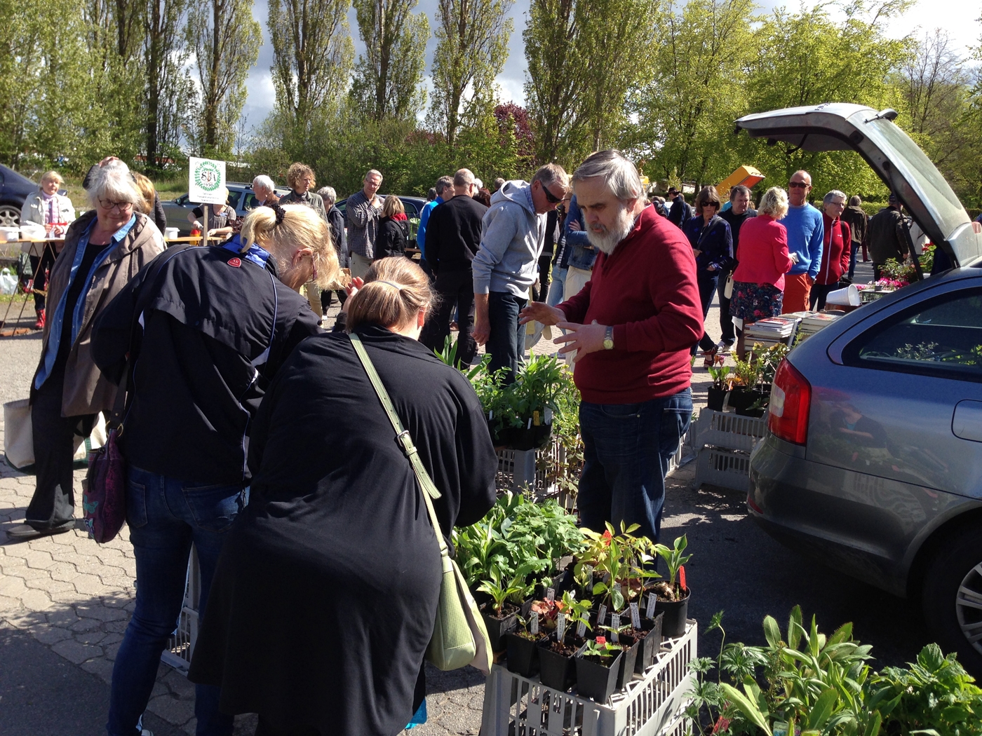 Växtmarknad maj 2014. Foto: Dan Abelin.