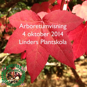 Arboretumvisning 4 oktober
